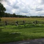 OTRA_2017_CN_0144 (August 27, 2017)